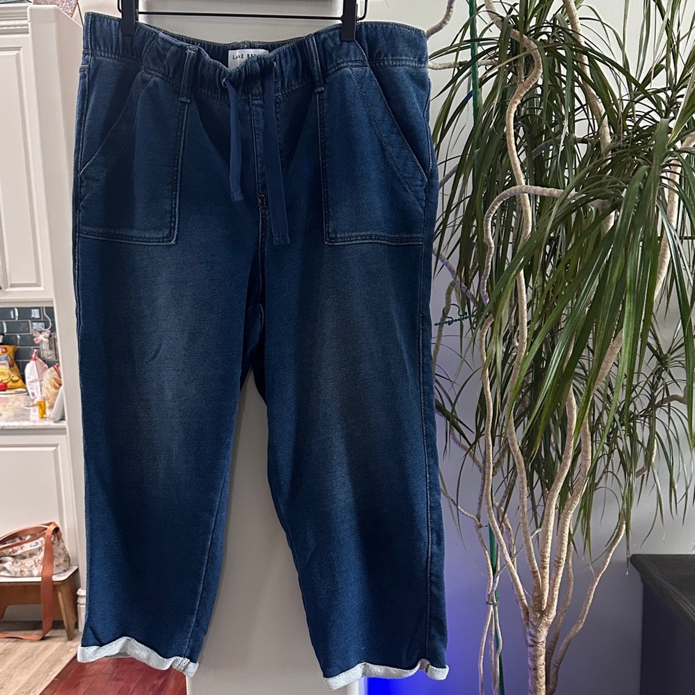 Lane Bryant Blue Capris SZ 14